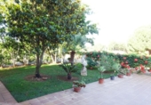 Chalet independiente con terreno en venta en la España, Mairena del Alcor, ref: TR319268 foto