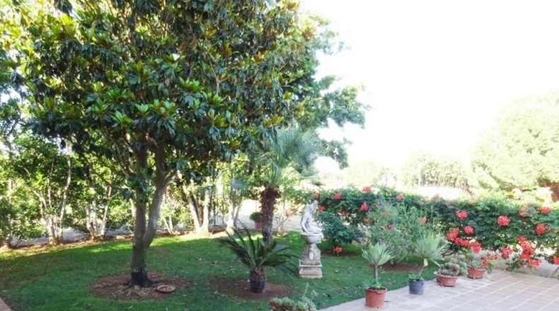 Sevilla - Mairena del Alcor - 1200m2