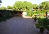 Chalet independiente con terreno en venta en la España, Mairena del Alcor, ref: TR319268 foto