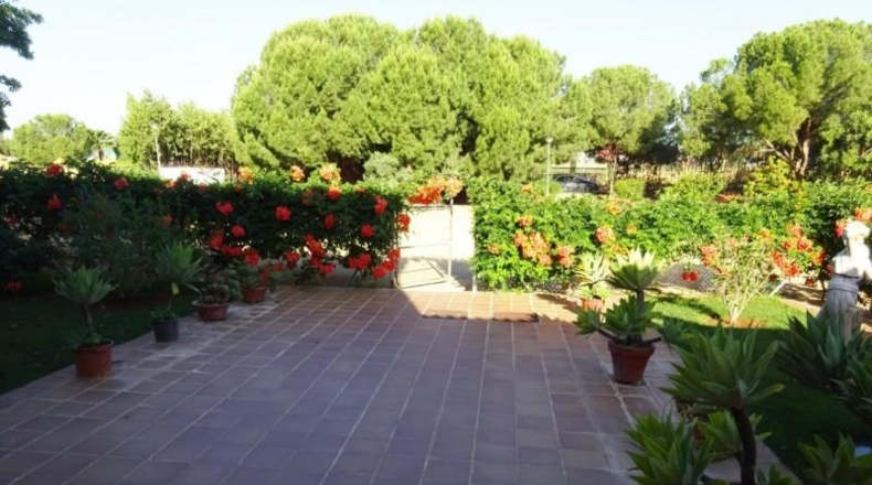 Sevilla - Mairena del Alcor - 1200m2