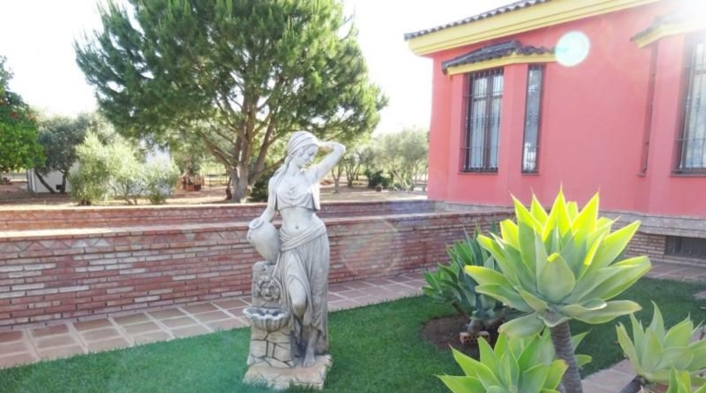 Sevilla - Mairena del Alcor - 1200m2