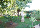Chalet independiente con terreno en venta en la España, Mairena del Alcor, ref: TR319268 foto