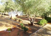 Chalet independiente con terreno en venta en la España, Mairena del Alcor, ref: TR319268 foto