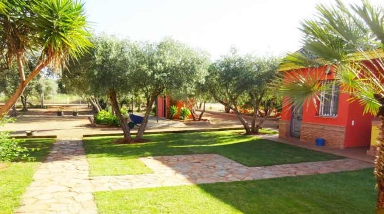 Sevilla - Mairena del Alcor - 1200m2