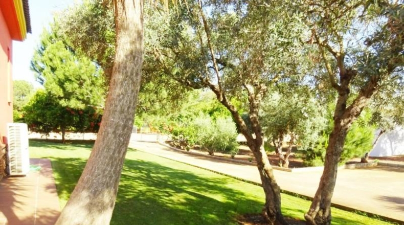 Sevilla - Mairena del Alcor - 1200m2