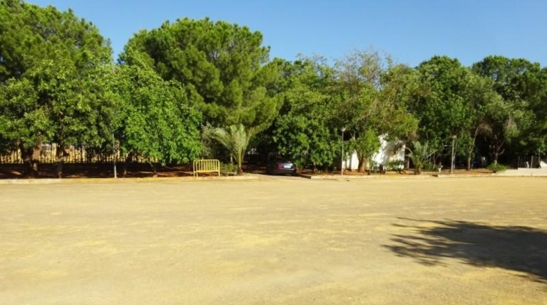 Sevilla - Mairena del Alcor - 1200m2