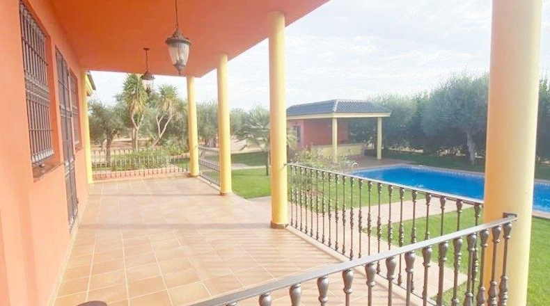 Sevilla - Mairena del Alcor - 1200m2