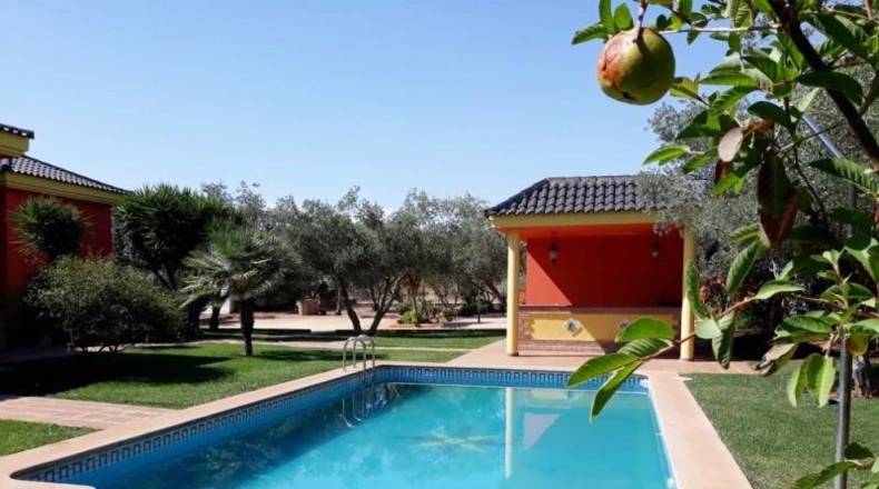 Sevilla - Mairena del Alcor - 1200m2