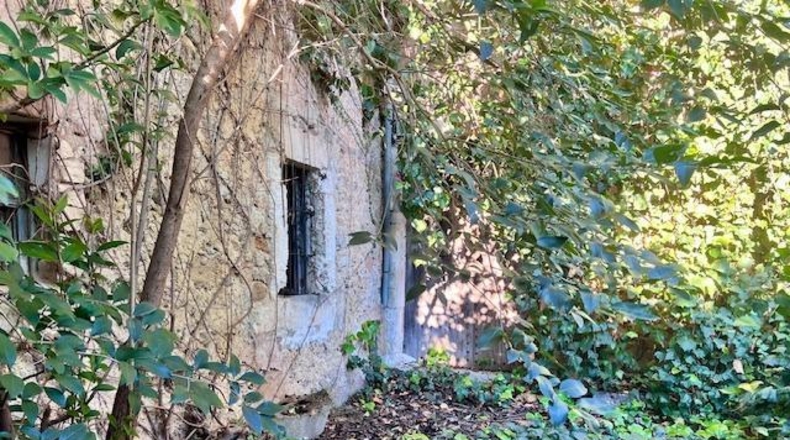 Balearic Islands - Selva - 384m2