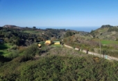 House with land for sale on España, Carretera Moya Palmital, ref: TR318149 photo