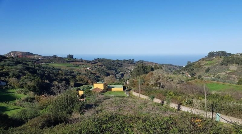 Las Palmas - Moya - 20896m2