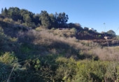 House with land for sale on España, Carretera Moya Palmital, ref: TR318149 photo