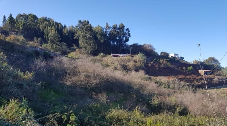 Las Palmas - Moya - 20896m2