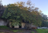 House with land for sale on España, Carretera Moya Palmital, ref: TR318149 photo