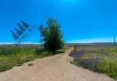 Land suitable for development for sale on España, Fresno de Torote, ref: TR292839 photo