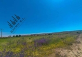 Land suitable for development for sale on España, Fresno de Torote, ref: TR292839 photo