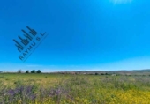 Land suitable for development for sale on España, Fresno de Torote, ref: TR292839 photo