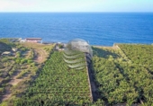 Casa de camp amb terreny en venda a la España, Buenavista del Norte, ref.: TR142276 foto