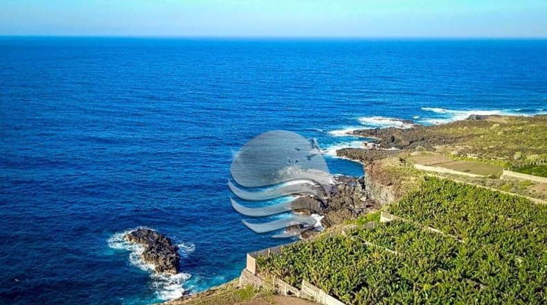 Santa Cruz de Tenerife - Buenavista del Norte - 15397m2