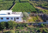 Casa de camp amb terreny en venda a la España, Buenavista del Norte, ref.: TR142276 foto