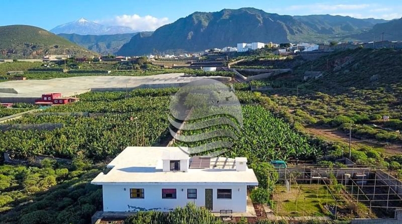 Santa Cruz de Tenerife - Buenavista del Norte - 15397m2