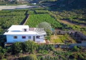 Casa de camp amb terreny en venda a la España, Buenavista del Norte, ref.: TR142276 foto