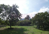 Sòl urbà en venda a la España, Dénia, ref.: TR264076 foto