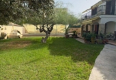 Detached villa with land for sale on España, Orihuela, ref: TR345687 photo