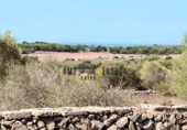 Country house with land for sale on España, Ciutadella de Menorca, ref: TR319926 photo