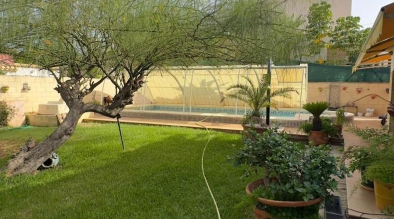 Alicante - Orihuela - 800m2