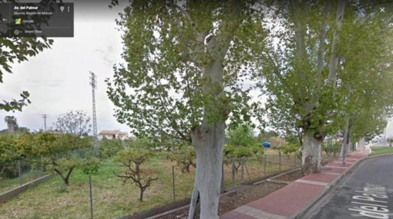 Santa Cruz de Tenerife - Buenavista del Norte - 5550m2