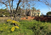 Terreno no urbanizable en venta en la España, Dénia, ref: TR317627 foto