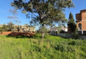 Terreno no urbanizable en venta en la España, Dénia, ref: TR317627 foto