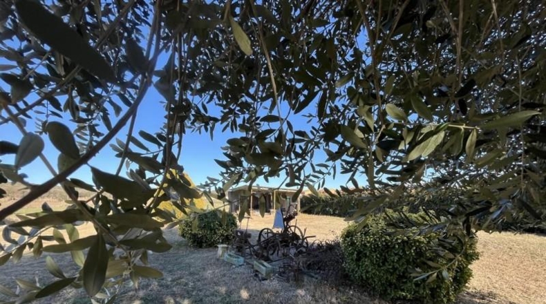 Gerona - Sant Gregori - 15310m2