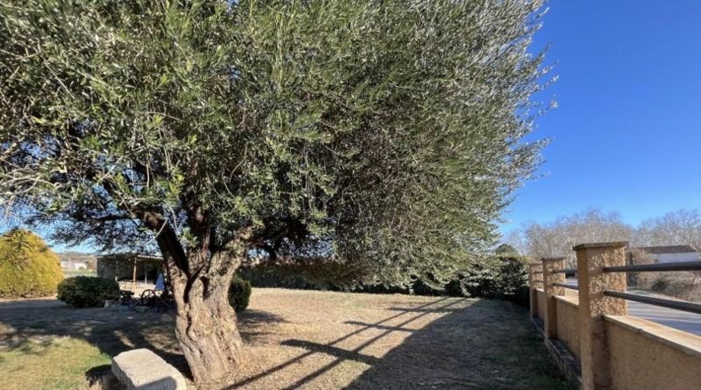 Gerona - Sant Gregori - 15310m2