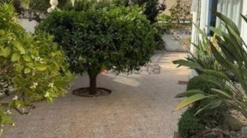 Alicante - Benidorm - 700m2