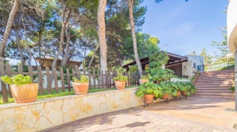Alicante - Alacant - 3000m2