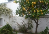 Village house for sale on España, Marbella, ref: TR288917 photo
