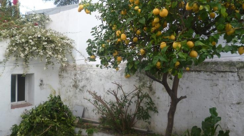 Malaga - Marbella - 251m2