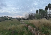 Non-developable land for sale on España, Teulada, ref: TR241567 photo
