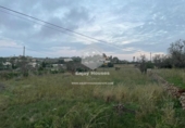 Non-developable land for sale on España, Teulada, ref: TR241567 photo