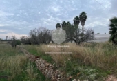 Non-developable land for sale on España, Teulada, ref: TR241567 photo