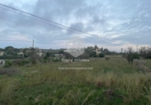 Non-developable land for sale on España, Teulada, ref: TR241567 photo