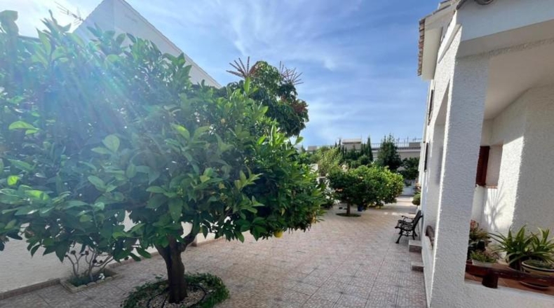 Alicante - Benidorm - 700m2