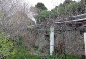 Terreny no urbanitzable en venda a la España, Dénia, ref.: TR115145 foto