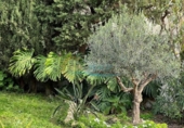 Detached villa with land for sale on España, Almuñécar, ref: TR352361 photo