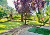 Detached villa with land for sale on España, Malagón, ref: TR378838 photo