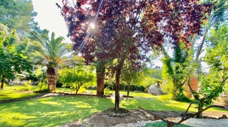 Ciudad Real - Malagón - 43000m2