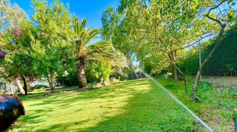 Ciudad Real - Malagón - 43000m2