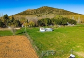 Detached villa with land for sale on España, Malagón, ref: TR378838 photo
